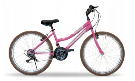TRANSVAL 24″ CANDY PINK