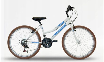 TRANSVAL 24″ CANDY WHITE